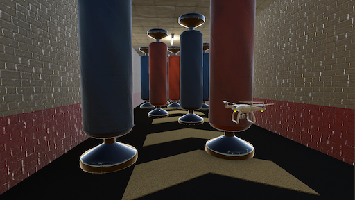 Obstacle Course Scenario